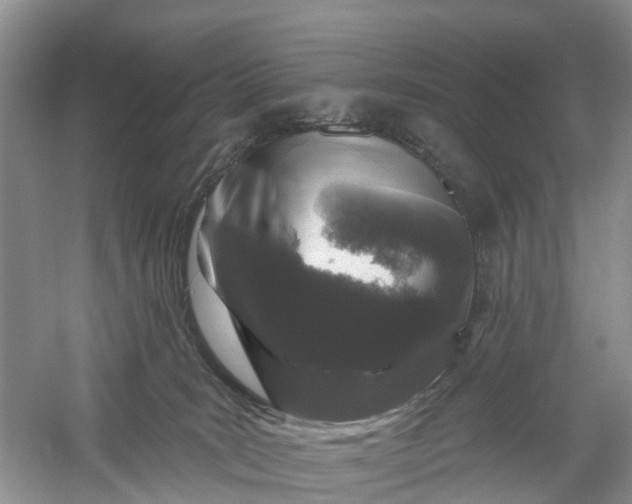 X0000060580035200511171709