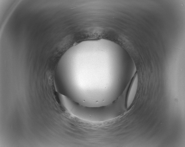 X0000060580037200511171709