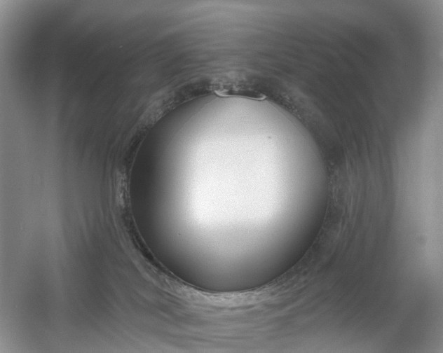 X0000060580038200511171709