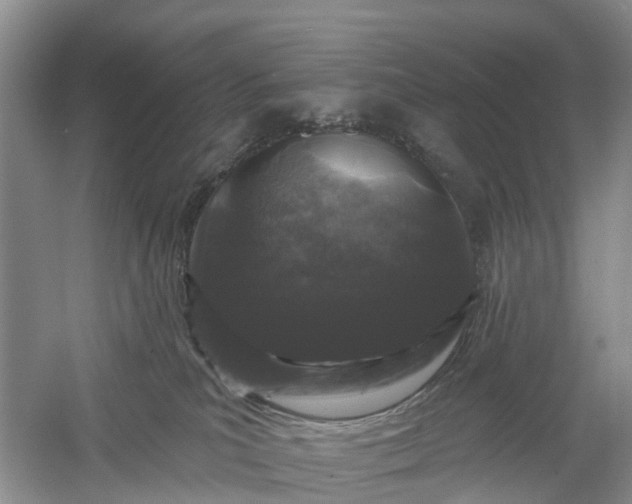 X0000060580039200511171709