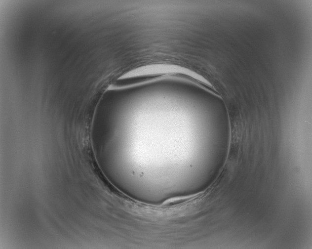 X0000060580043200511171709