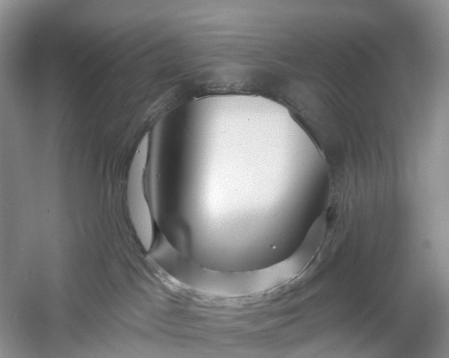 X0000060580045200511171709