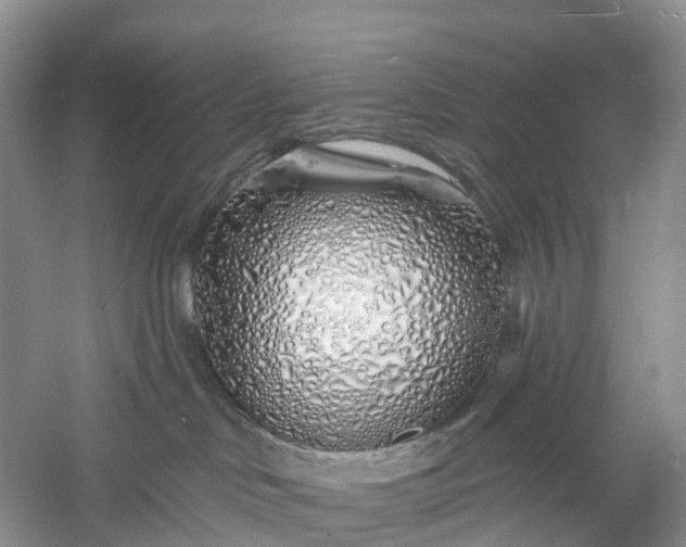 X0000060580046200511171709