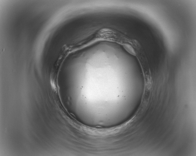 X0000060580047200511171709