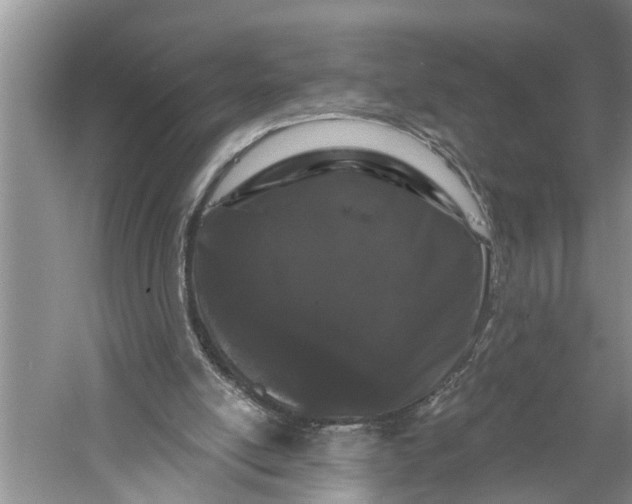 X0000060580054200511171708