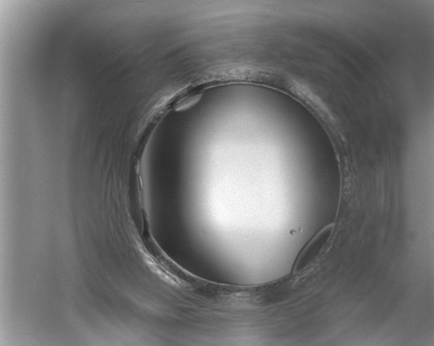 X0000060580058200511171708