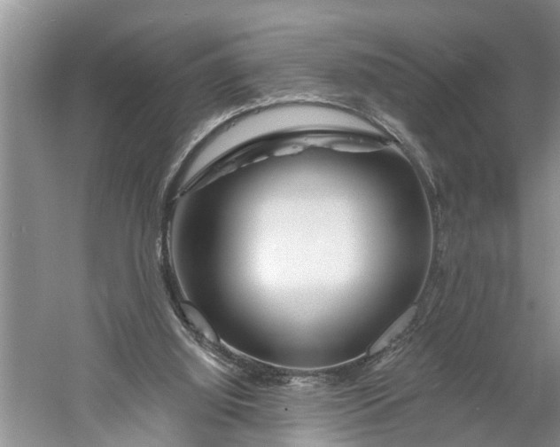 X0000060580060200511171708