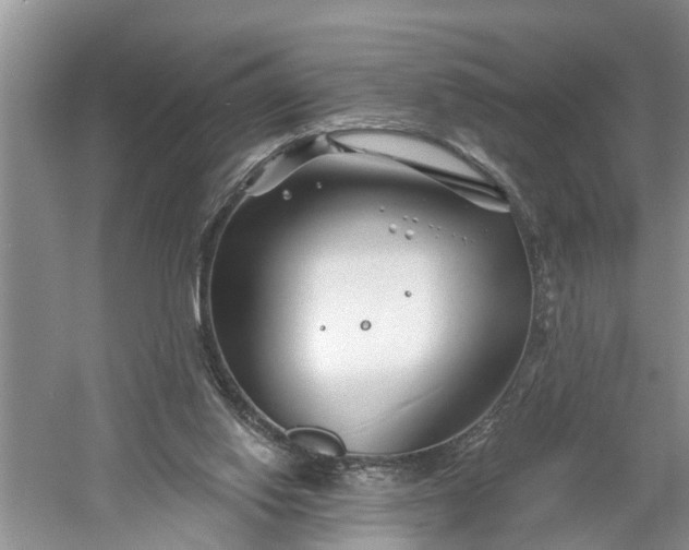 X0000060580062200511171708