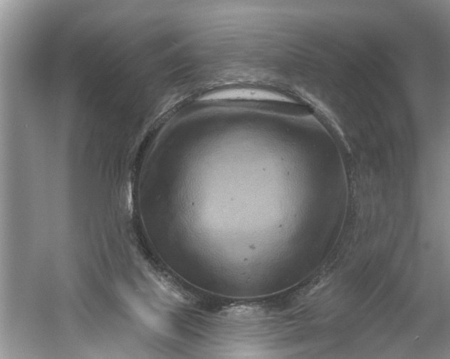 X0000060580067200511171708