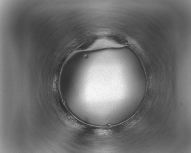 X0000060580073200511171708