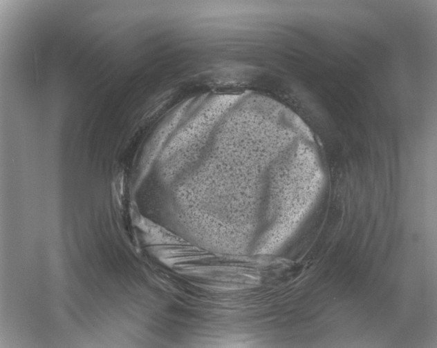 X0000060580076200511171708