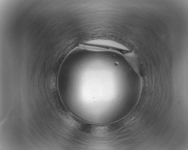 X0000060580081200511171708