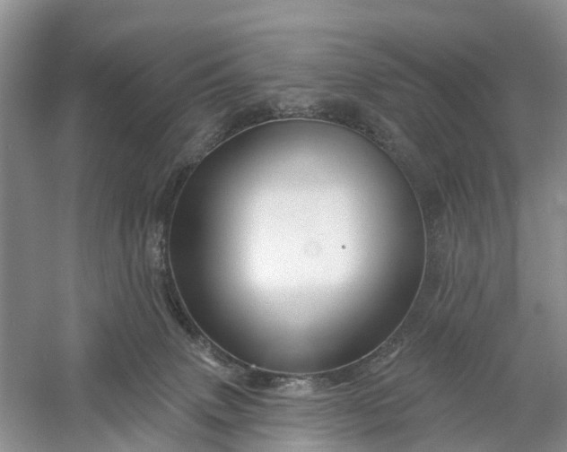 X0000060580083200511171708