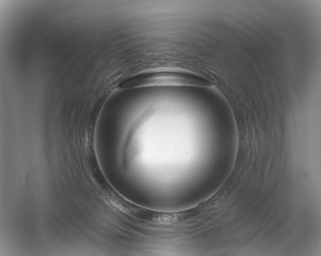 X0000060580084200511171708