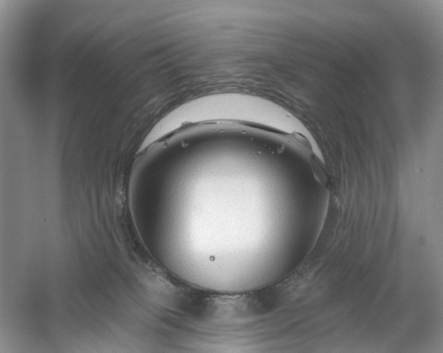 X0000060580085200511171708