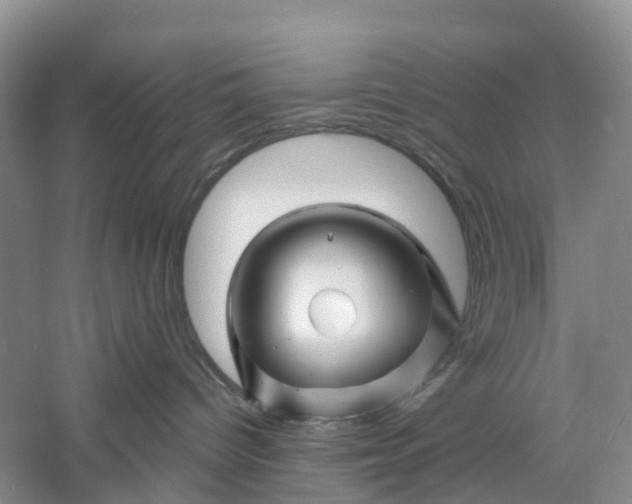 X0000060580096200511171709