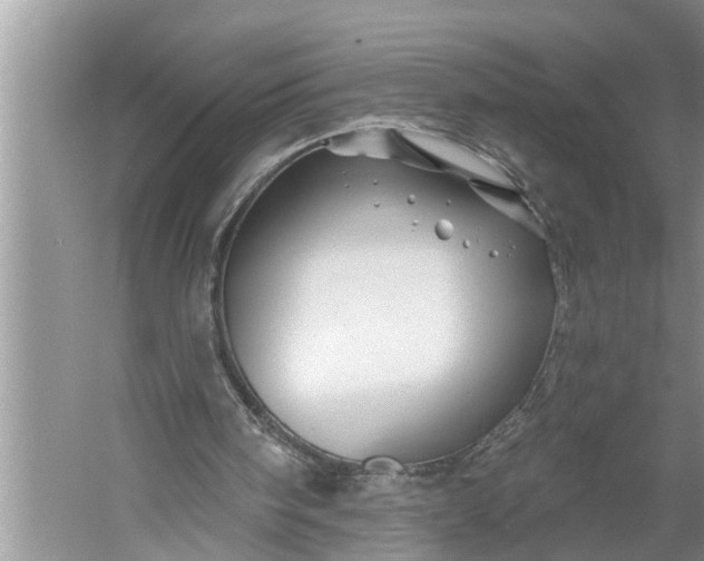 X0000060580098200511171708