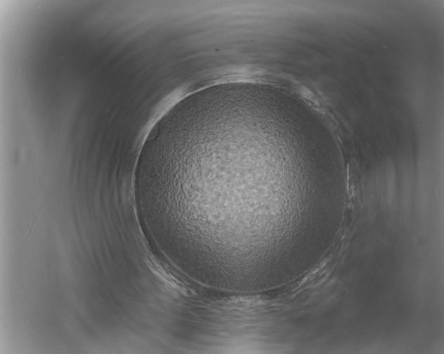 X0000060580099200511171708