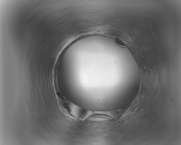 X0000060580100200511171708