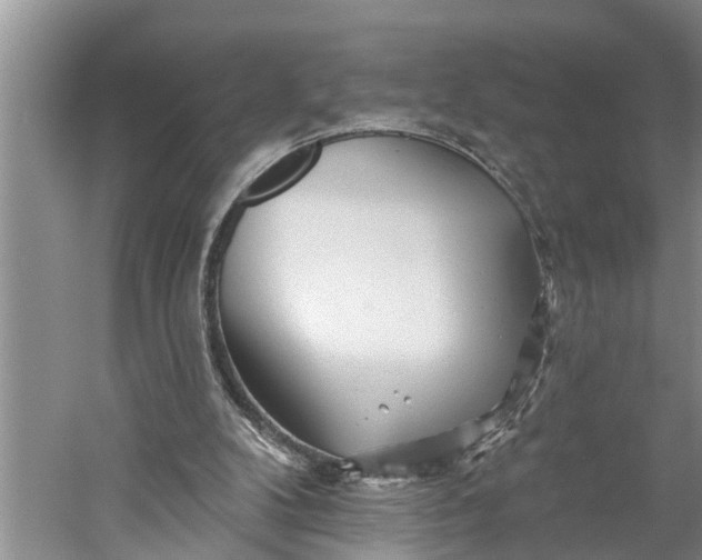 X0000060580104200511171708