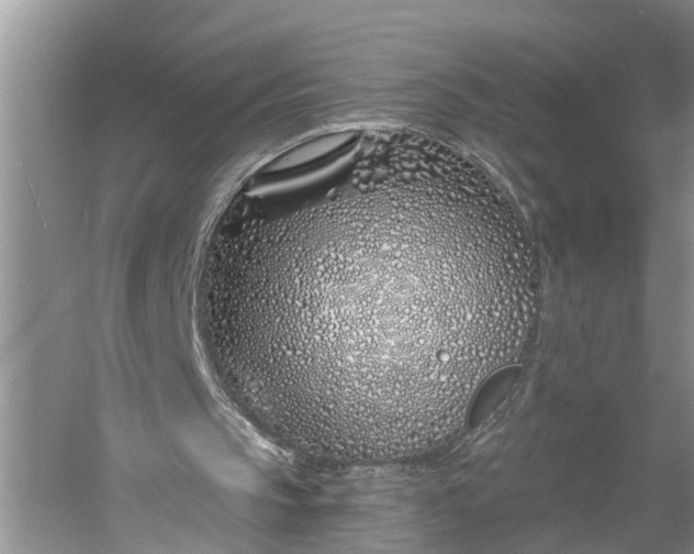 X0000060580145200511171706