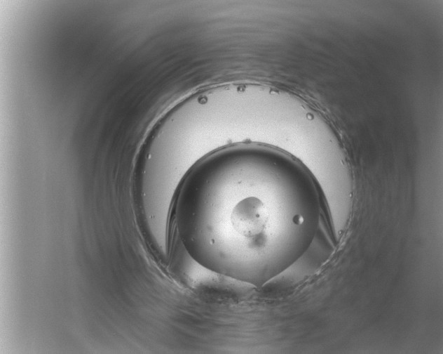 X0000060580146200511171706