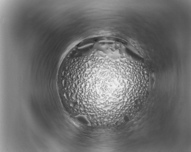 X0000060580147200511171706