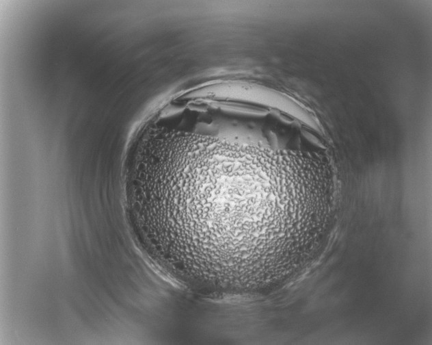 X0000060580149200511171706