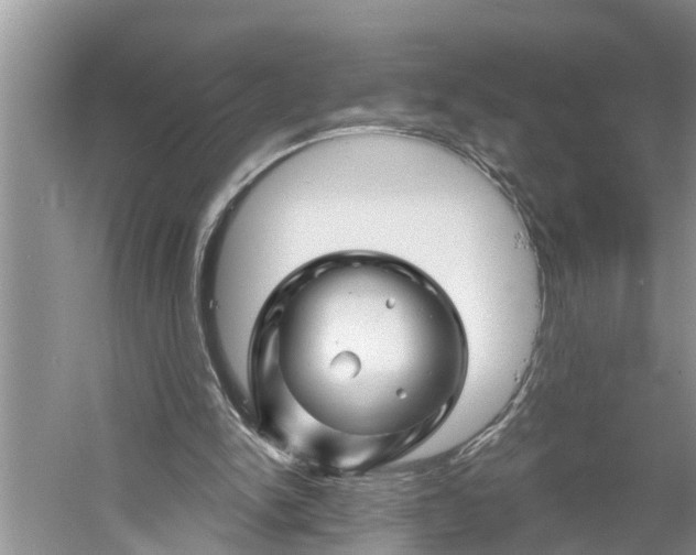 X0000060580150200511171706