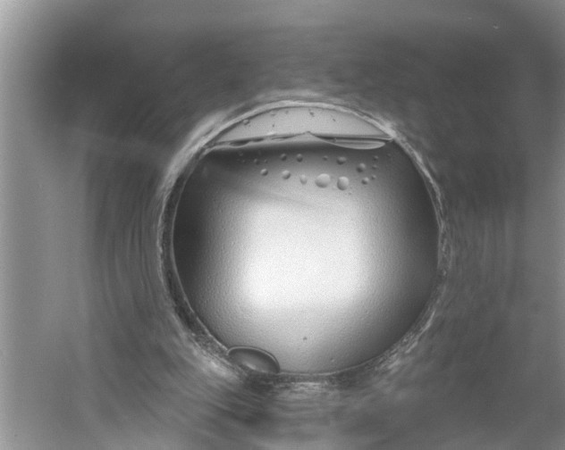 X0000060580151200511171706