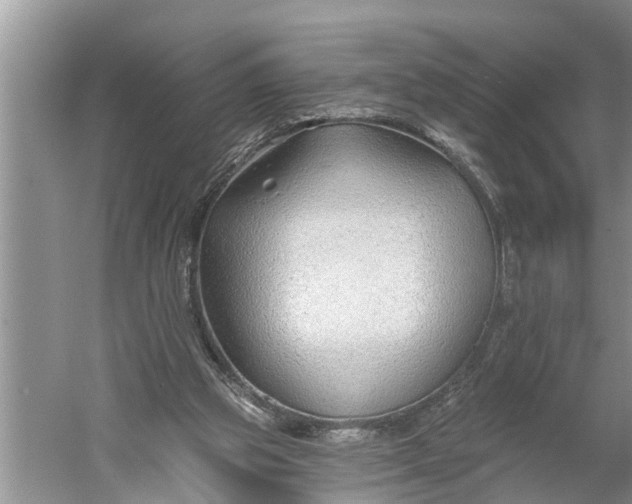 X0000060580153200511171706