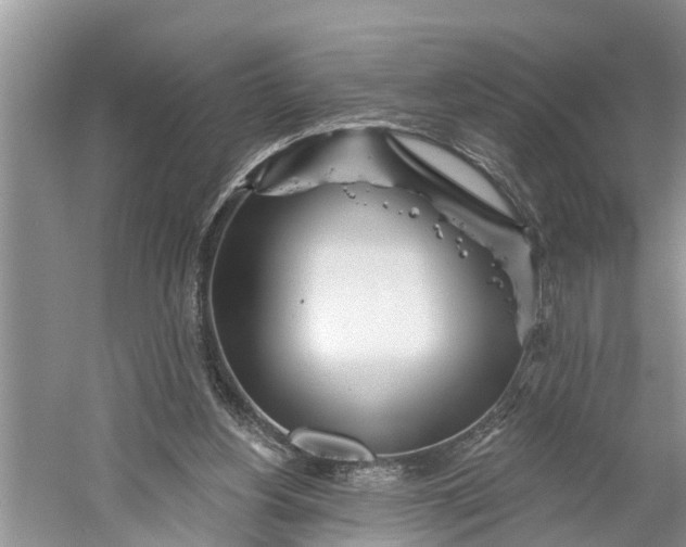 X0000060580156200511171706