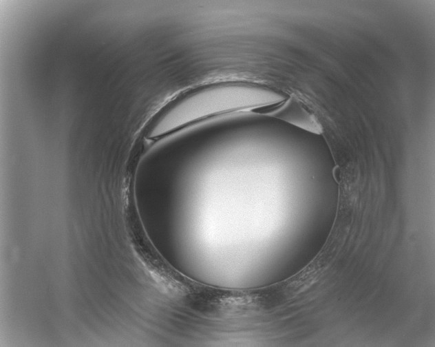 X0000060580160200511171706