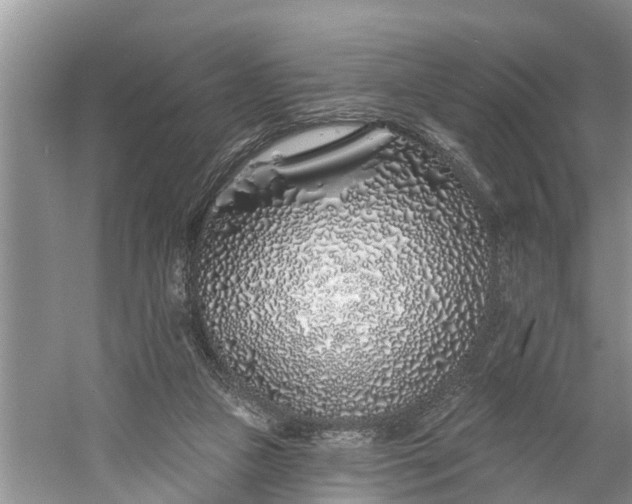 X0000060580161200511171706