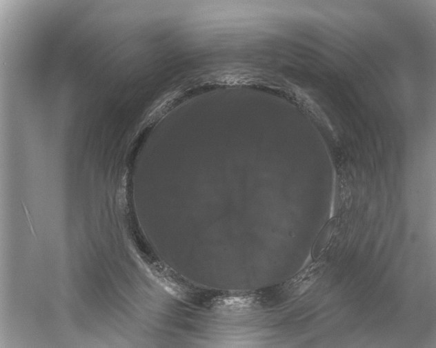 X0000060580163200511171707