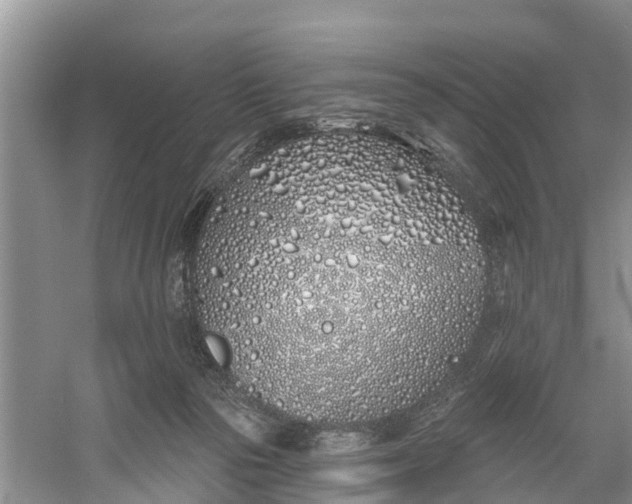 X0000060580169200511171707