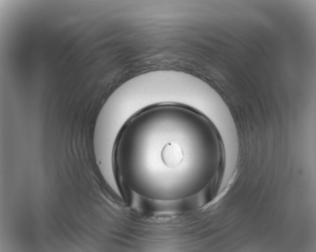 X0000060580186200511171707