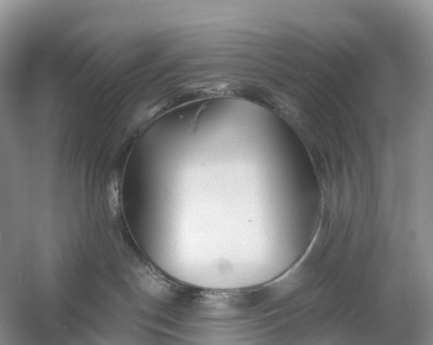 X0000060580190200511171707