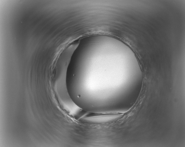 X0000060580193200511171706