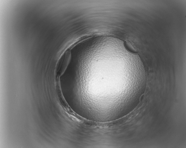 X0000060580194200511171706