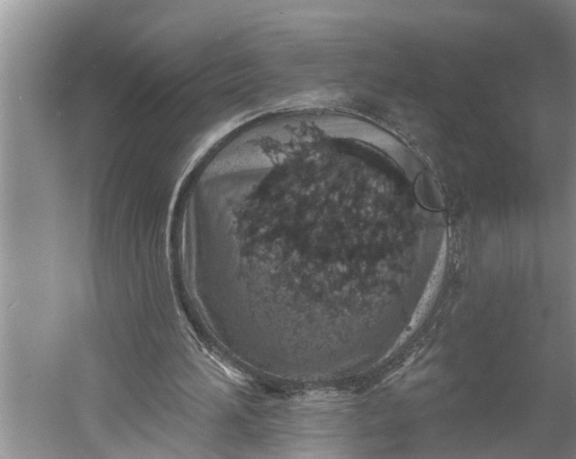 X0000060580196200511171706