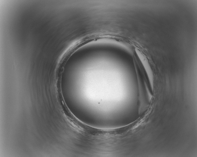 X0000060580197200511171706