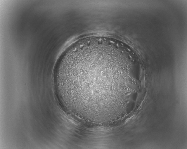 X0000060580198200511171706