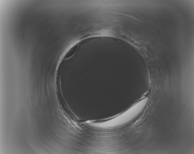 X0000060580200200511171706