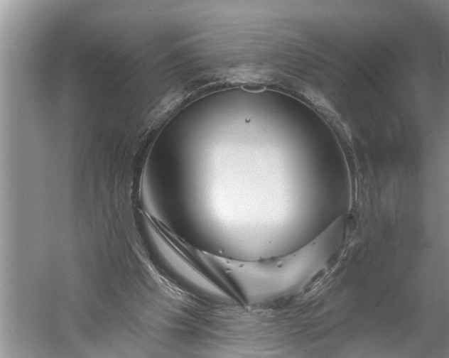 X0000060580201200511171706