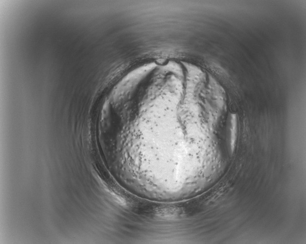 X0000060580202200511171706