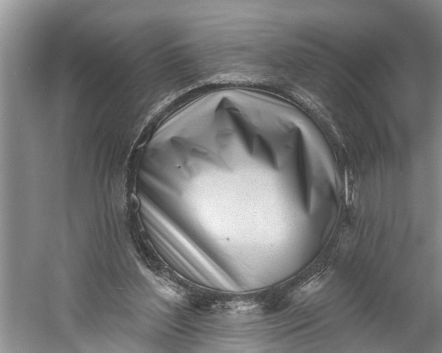 X0000060580204200511171706