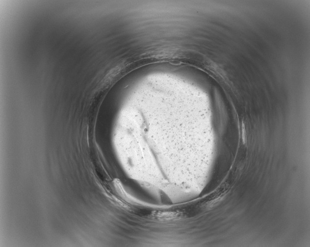 X0000060580205200511171706