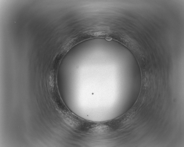 X0000060580210200511171706