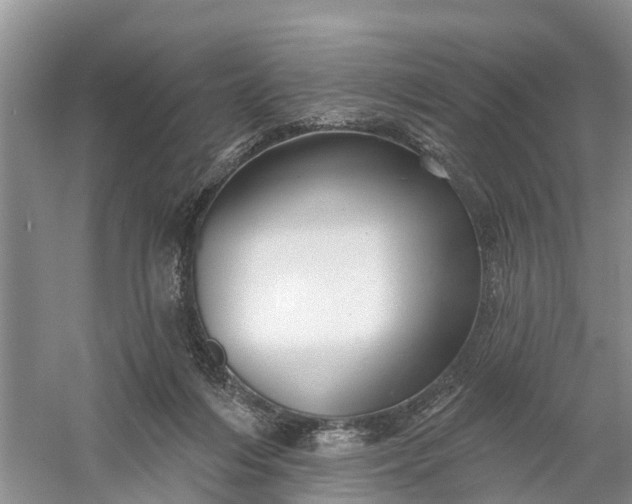 X0000060580216200511171706